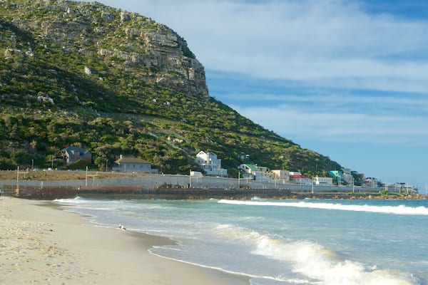 フィッシュ ホーク ビーチ フィーチャー 砂浜