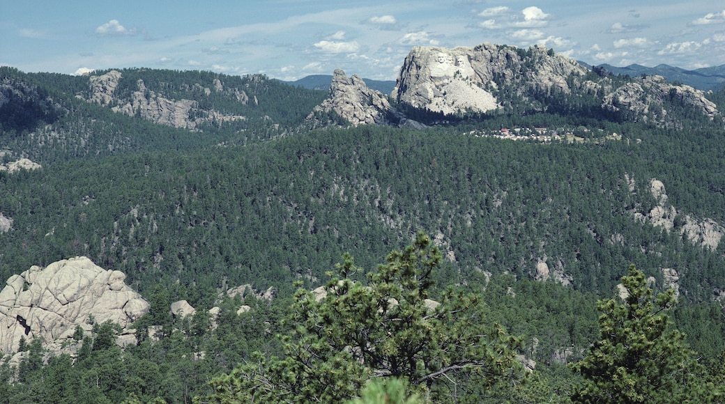 Mount Rushmore in the Black Hills of South Dakota