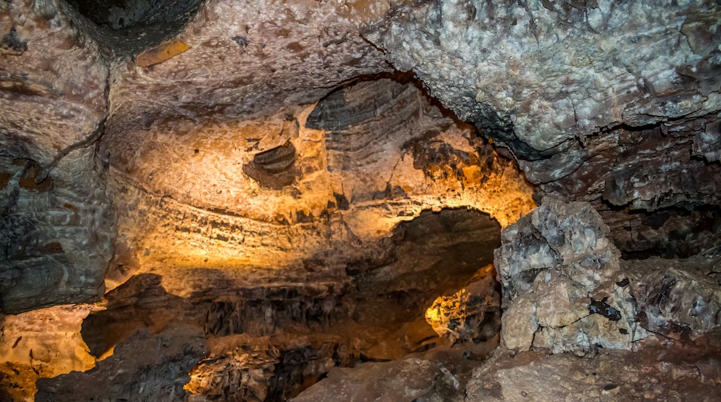 A Boxwork geological formation of rocks in Wind Cave National Park, South Dakota
