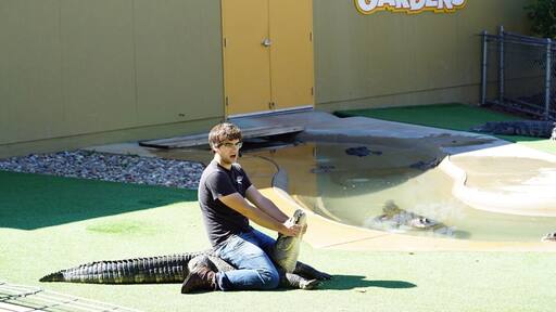 A good place to get a case of the creepy crawlies.