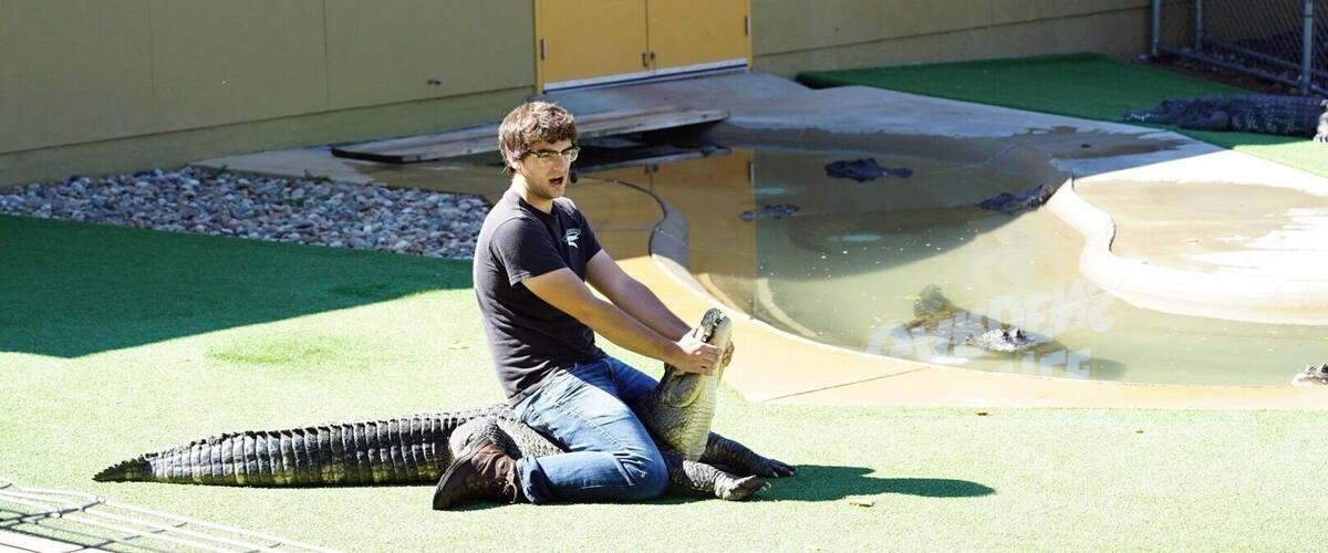 A person interacting with a large reptile at Reptile Gardens.
