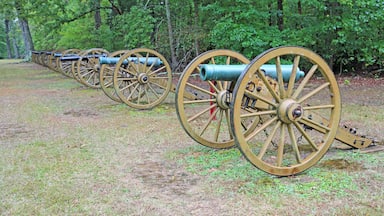 Row of cannons - Shiloh National Military Park, Tennessee