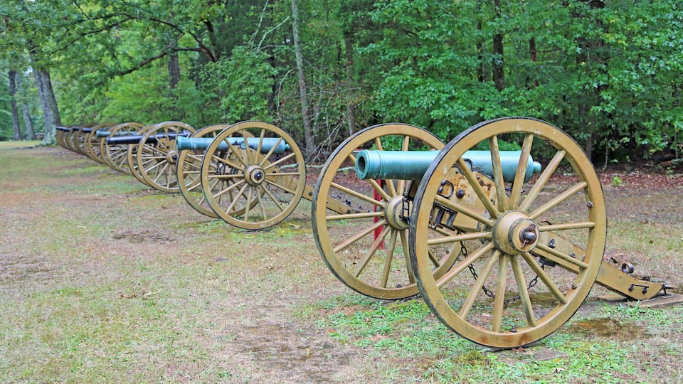 A row of antique cannons with wooden wheels, set in a grassy field with trees in the background.