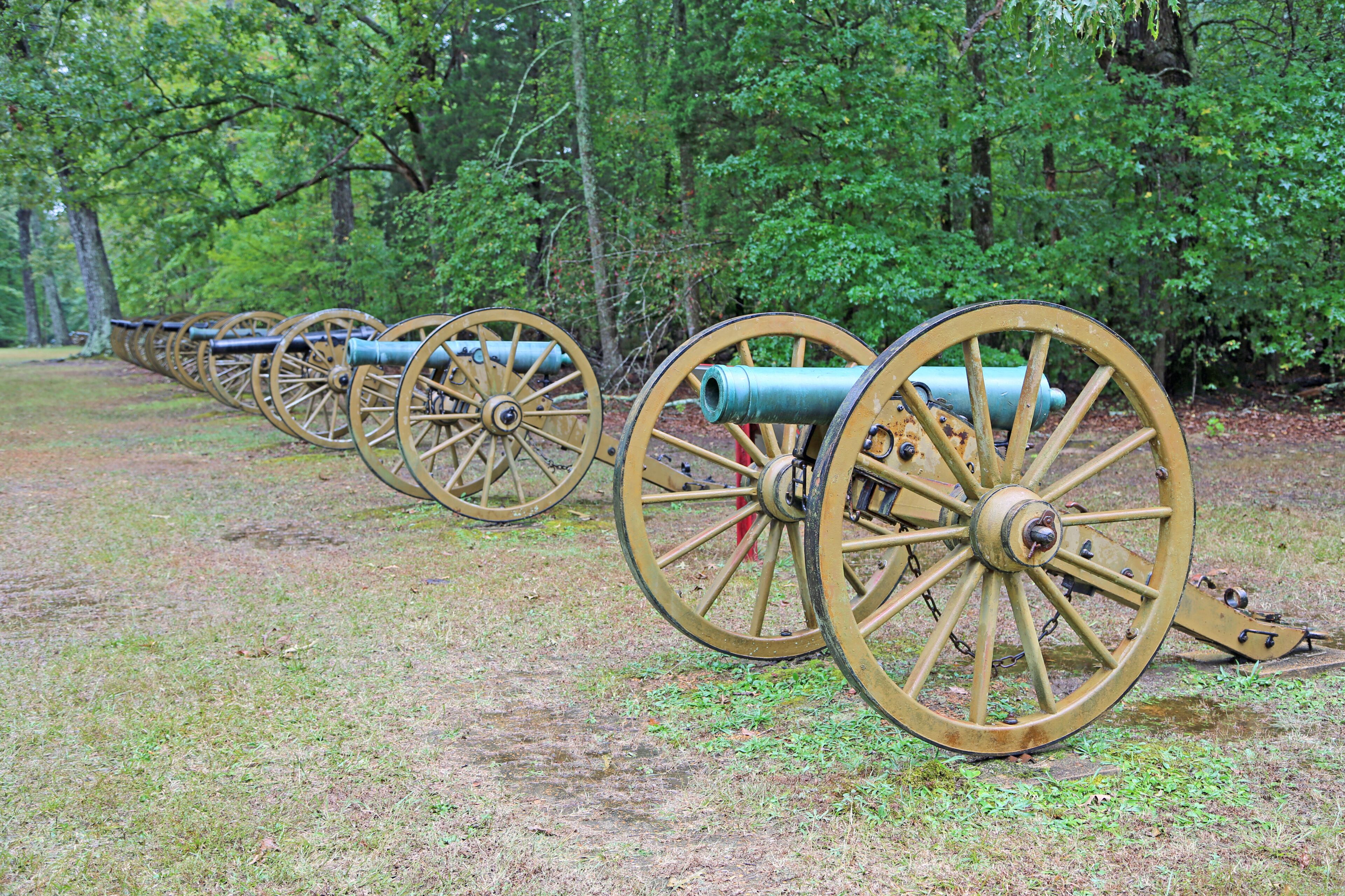 A row of antique cannons with wooden wheels, set in a grassy field with trees in the background.