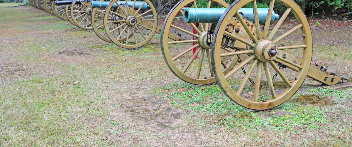 A row of antique cannons with wooden wheels, set in a grassy field with trees in the background.