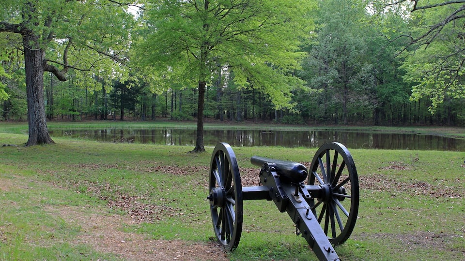 A cannon in a park with a pond and trees.