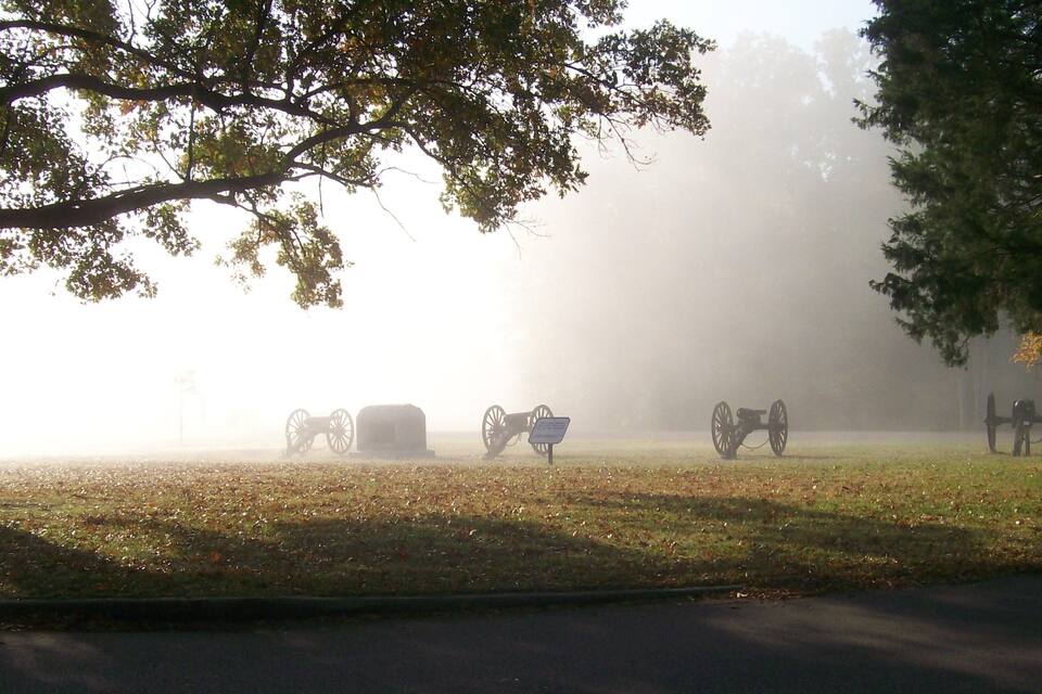 A foggy field with several cannons and a tree.