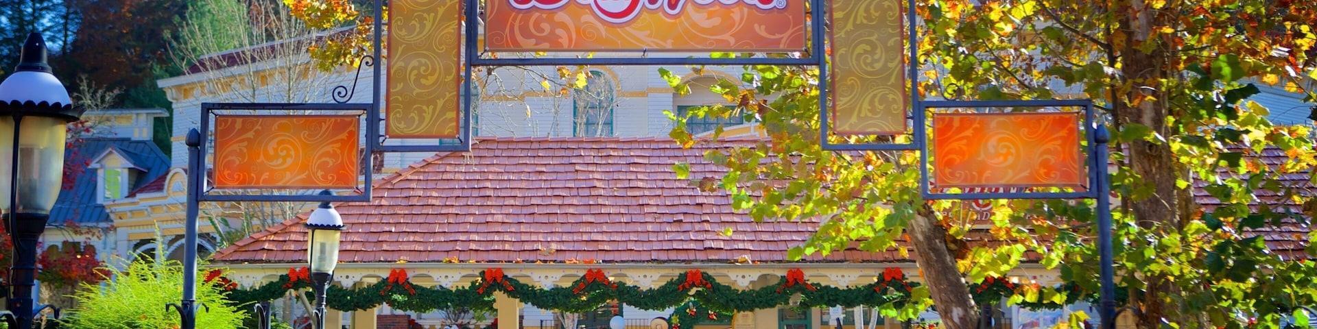 Dollywood which includes signage and rides