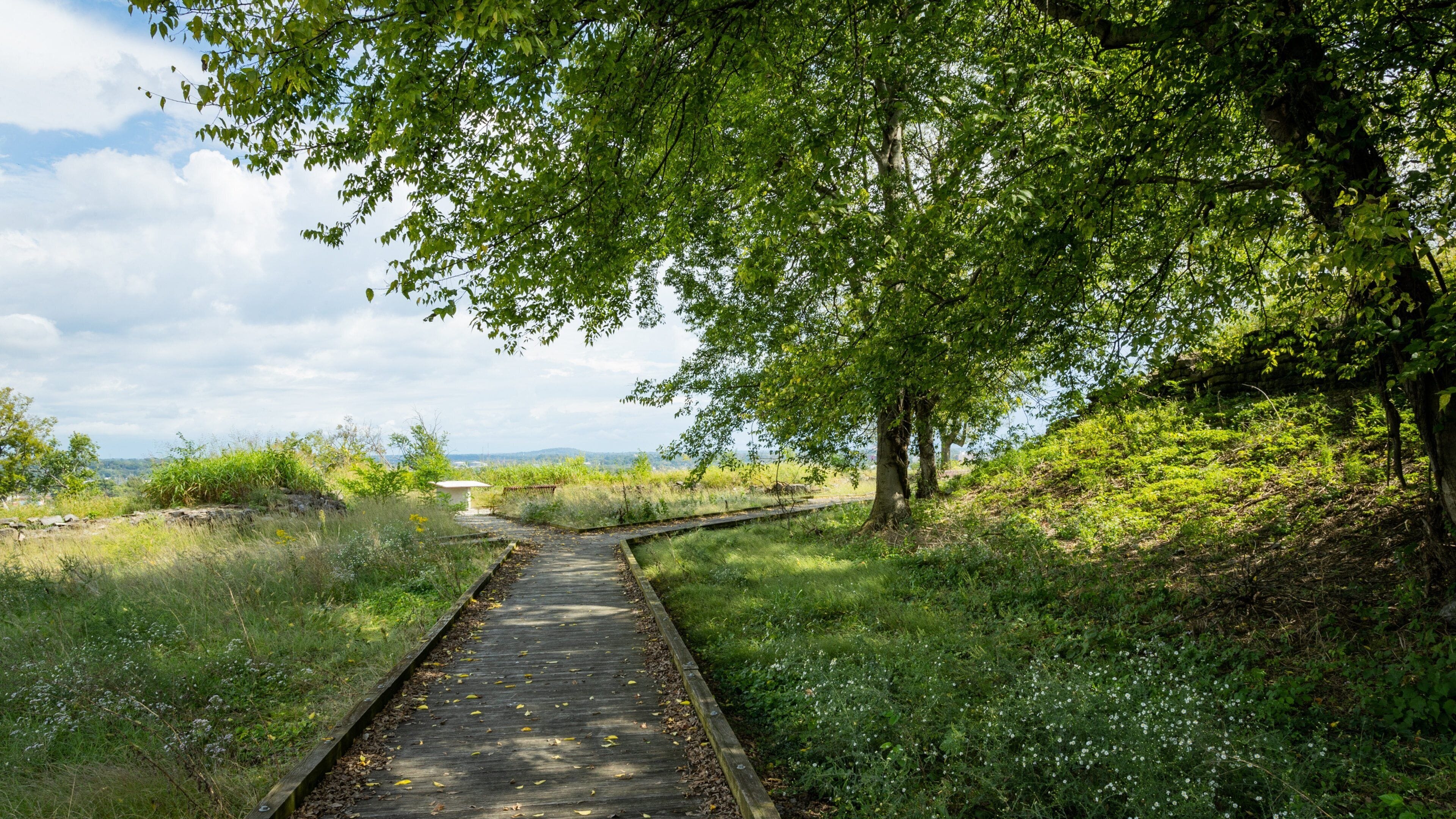 Fort Negley Park featuring a park