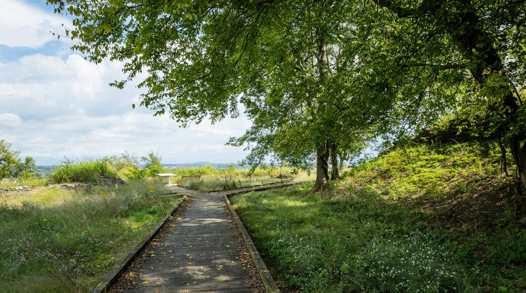 Fort Negley Park featuring a park
