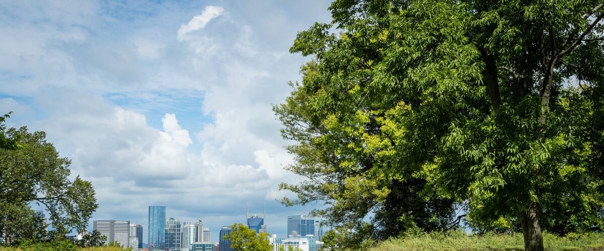 Fort Negley Park showing a park