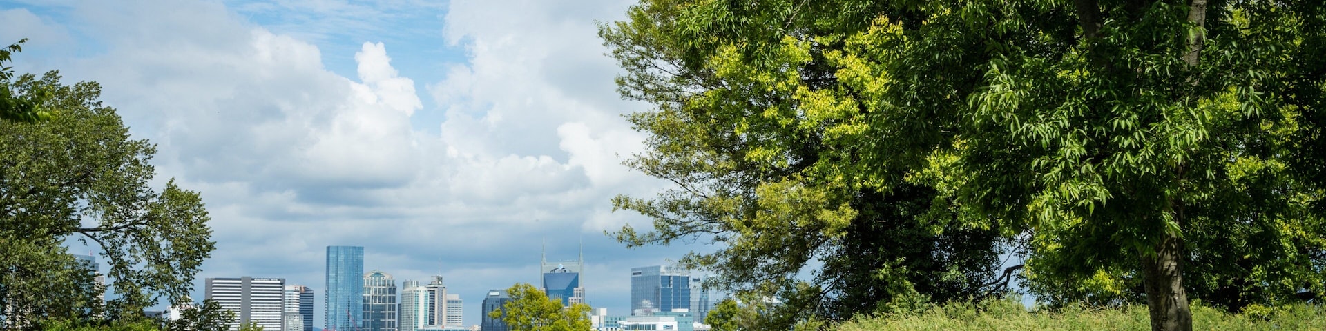 Fort Negley Park showing a park