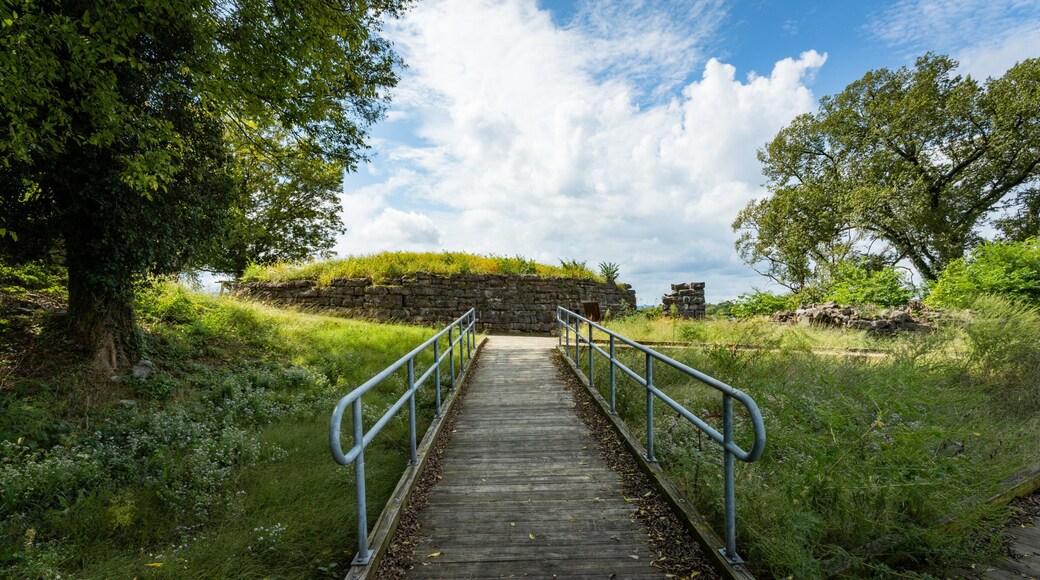 Fort Negley Park showing a park