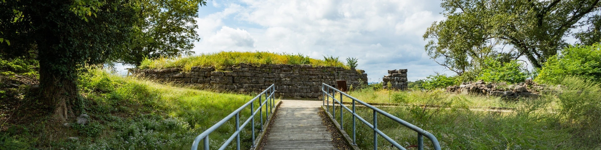 Fort Negley Park showing a park