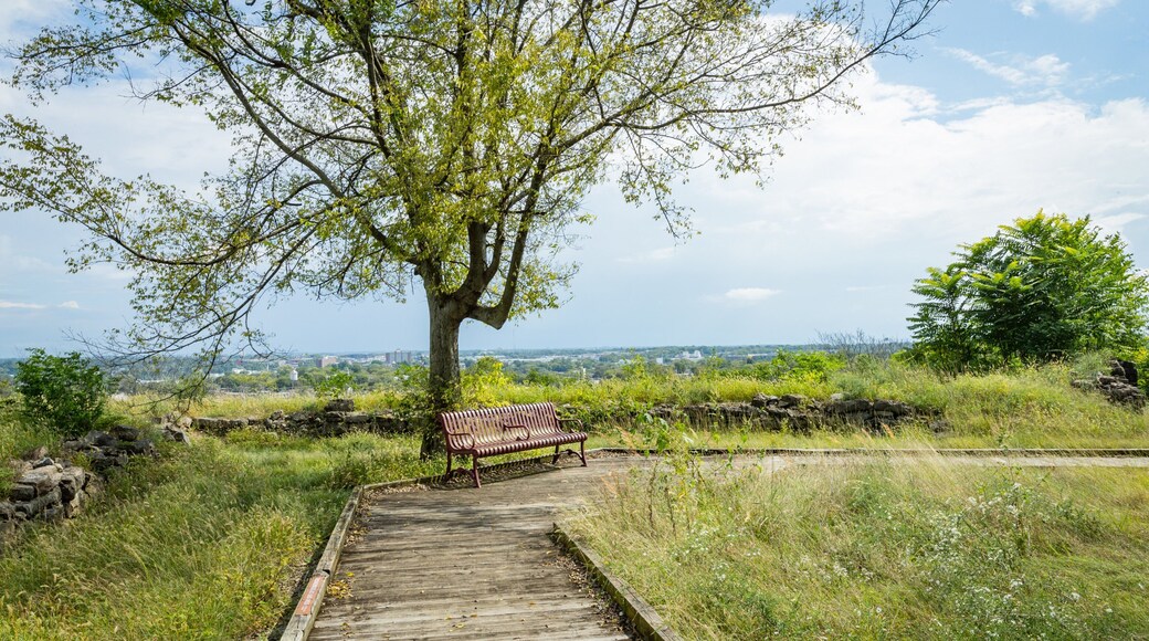 Fort Negley Park which includes a garden