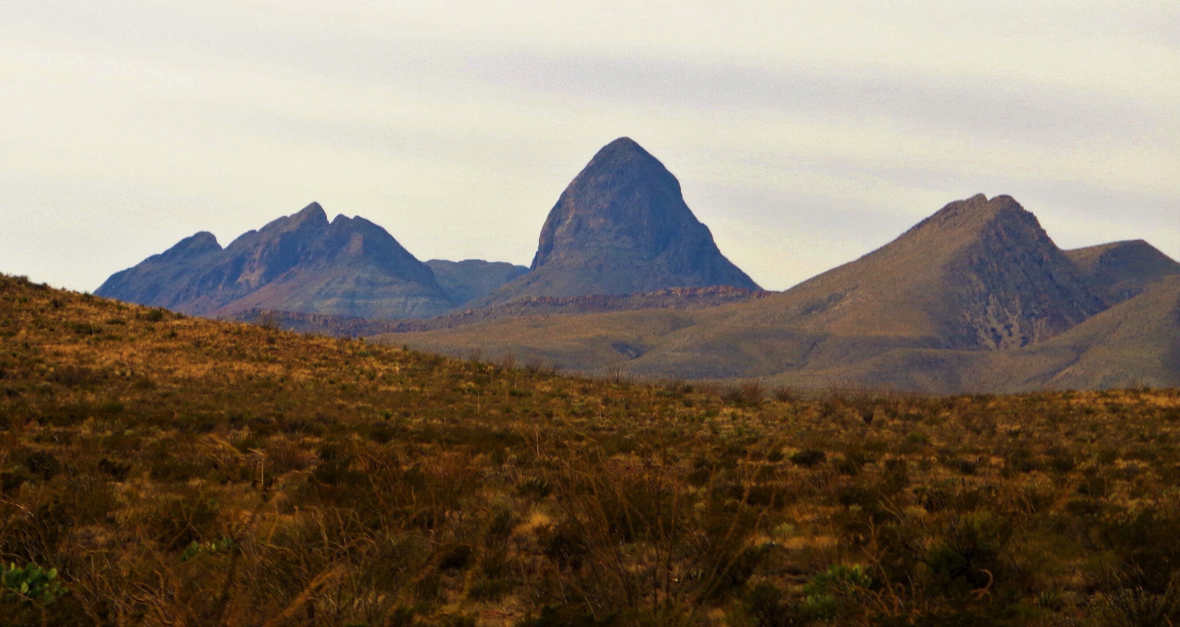 I took this photo at Big Bend National Park, West Texas, USA. It was on a beautiful early December morning in 2015! The unique landscapes in West Texas are incredible to see! The natural landmarks there aren't as well known as the ones in Arizona and Utah but they are still epic, desolate and isolated! I'm from Texas but on the other side of Texas. It thus took about 9 or 10 hours to drive from Houston. I'm glad it was my father who drove ;). Because the scenery outside the window was incredible for the last few hours of the drive. And once inside the national park then it was even more awesome! 