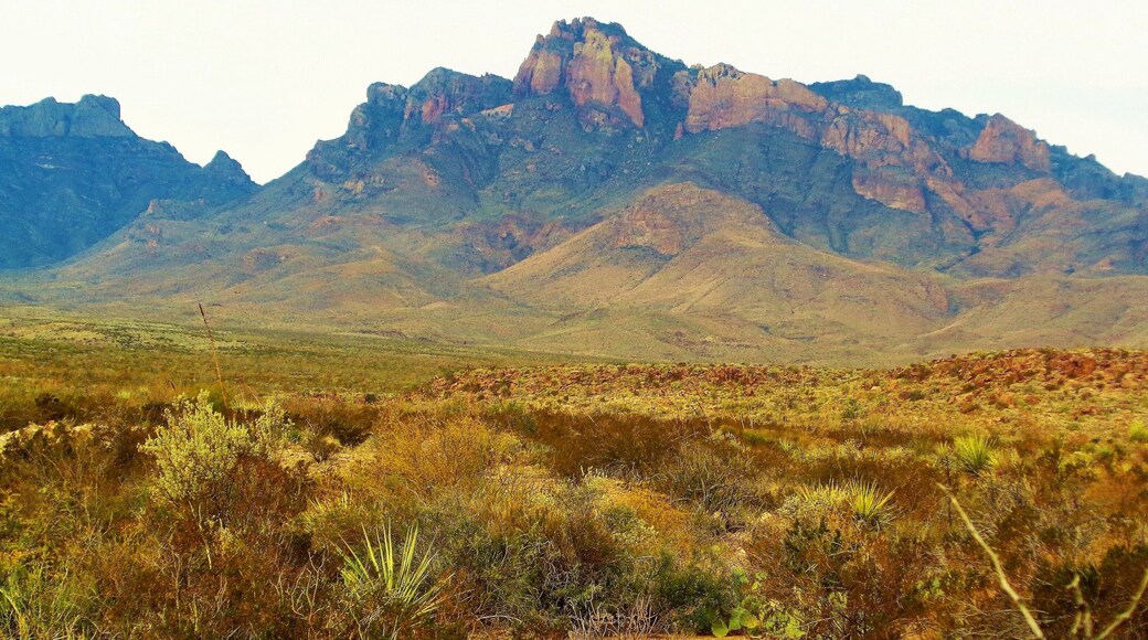 An autumn day at Big Bend National Park in West Texas, USA. The unique landscapes in West Texas are incredible to see! The natural landmarks there aren't as well known as the ones in Arizona and Utah but they are still epic, desolate and isolated! I'm from Texas but on the other side of Texas. It thus took about 9 or 10 hours to drive from Houston. I'm glad it was my father who drove ;). Because the scenery outside the window was incredible for the last few hours of the drive. And once inside the national park then it was even more awesome!
I took this photo in early December 2015.