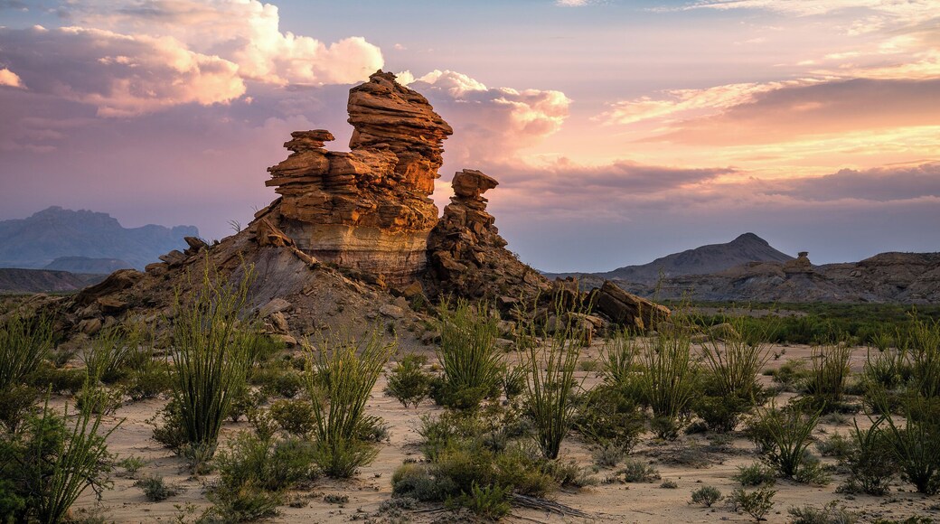 Off the Beaten Path in Big Bend National Park. This was taken off the trail near the Dinosaur Discovery Station
