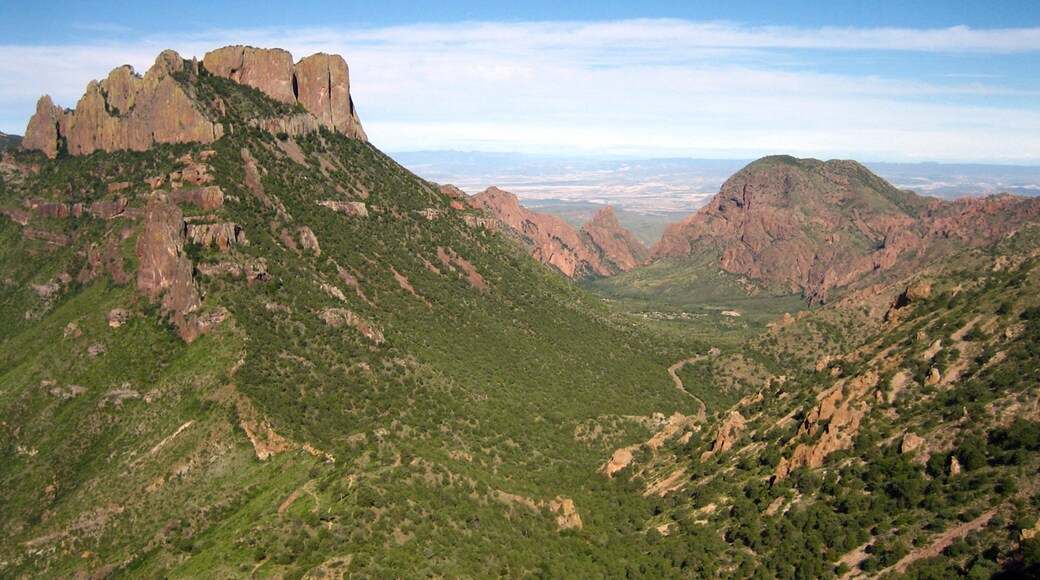 Parc national Big Bend montrant scĂšnes tranquilles