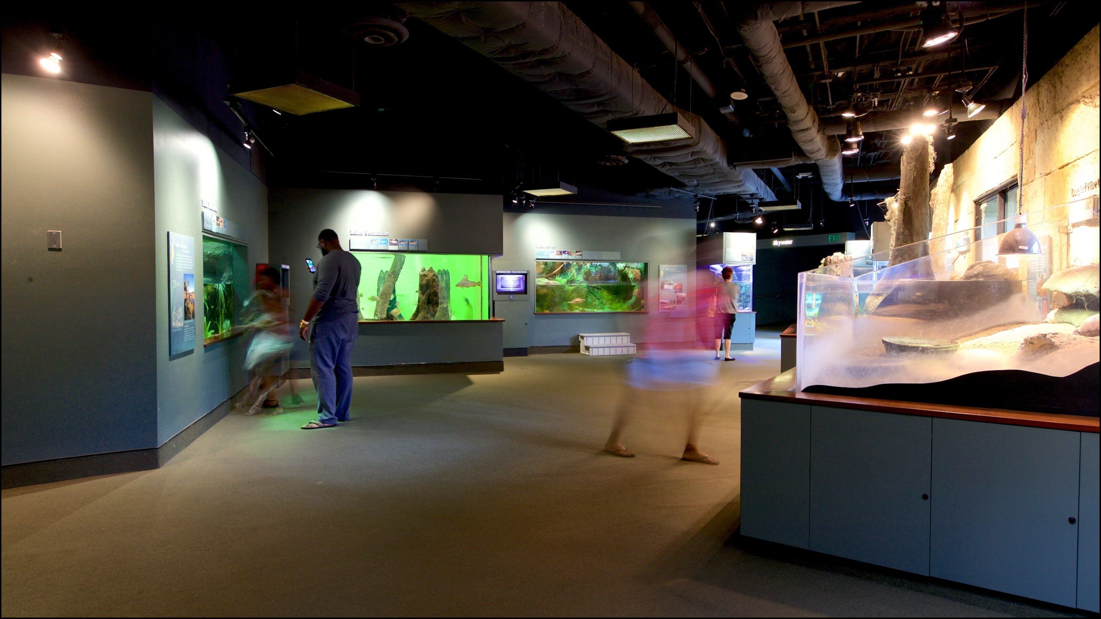 Flint RiverQuarium ofreciendo vistas interiores y vida marina y también un pequeño grupo de personas