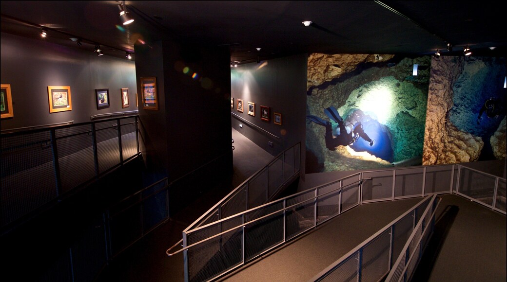 Flint RiverQuarium which includes marine life and interior views