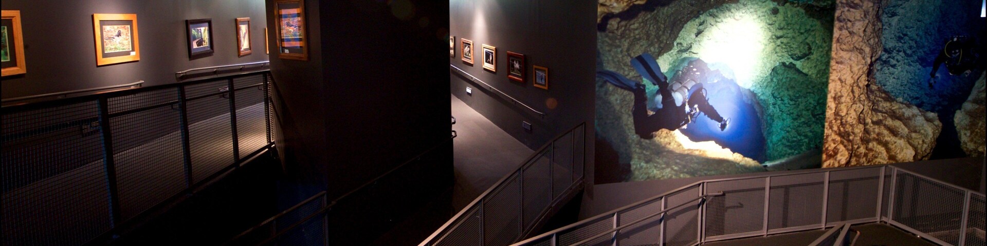 Flint RiverQuarium mostrando vida marina y vistas de interior