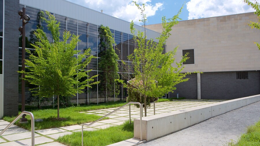 Georgia Museum of Art