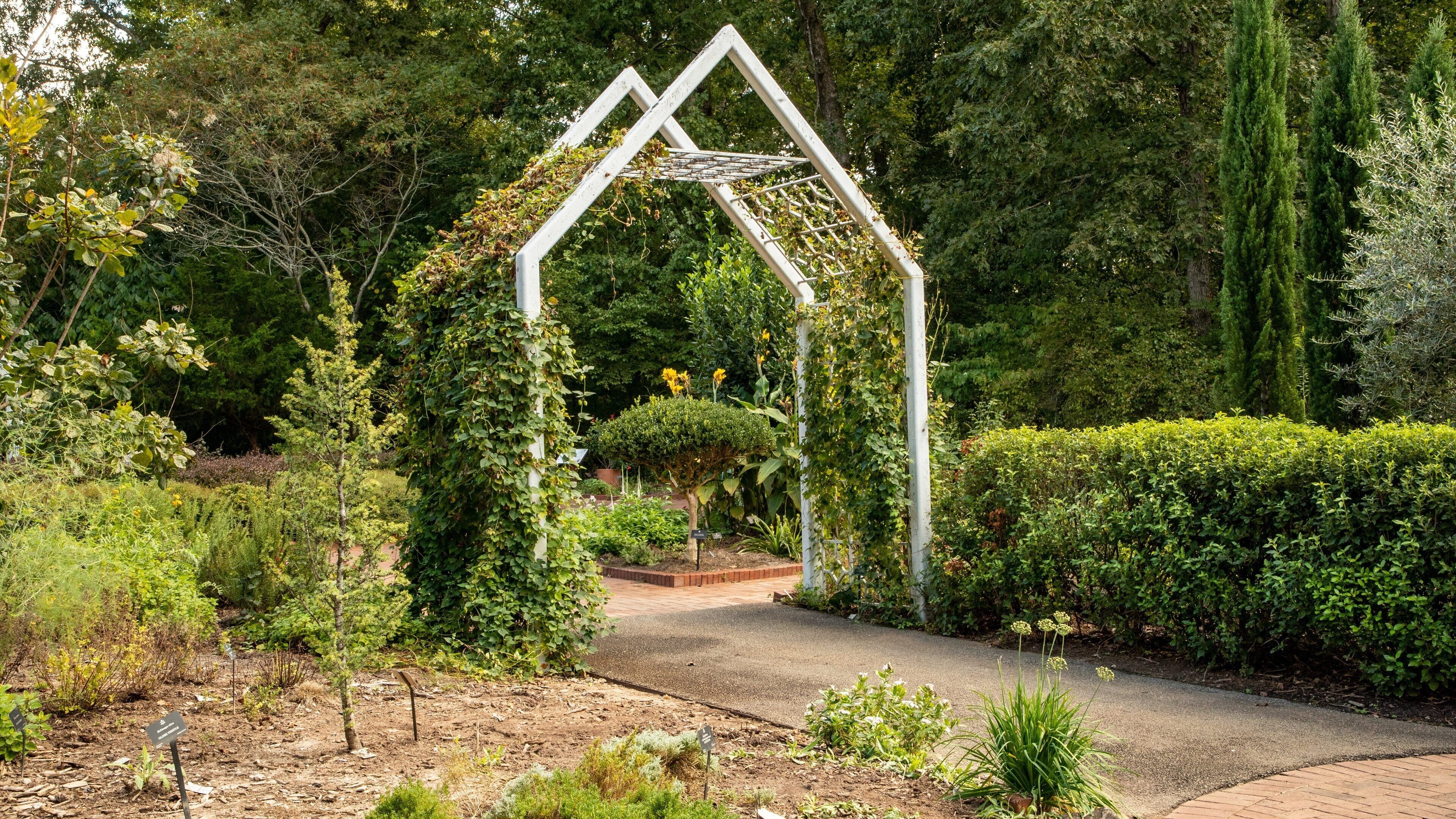 State Botanical Garden of Georgia featuring a garden