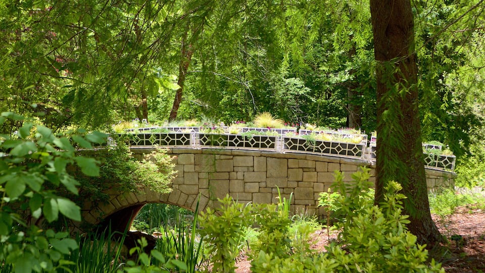 A stone bridge with a decorative railing in a lush green forest.