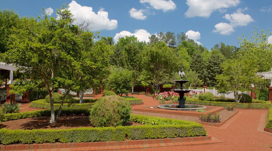 State Botanical Garden of Georgia showing a fountain, flowers and a park