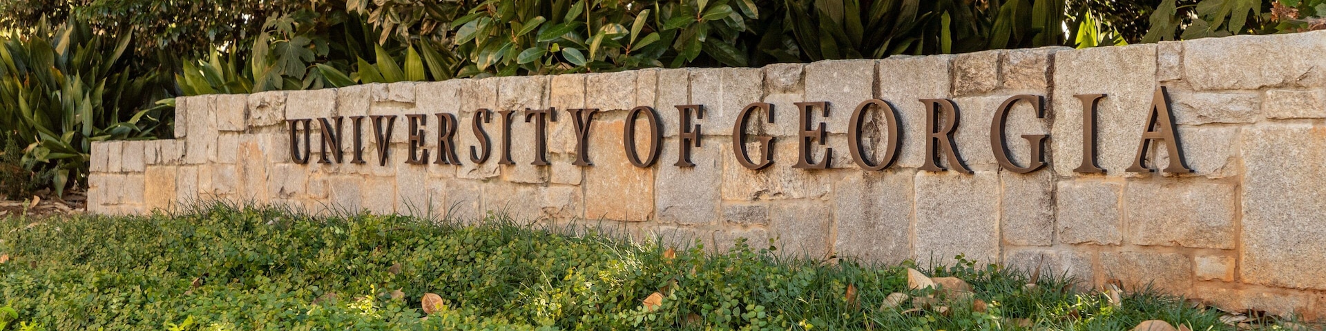 University of Georgia