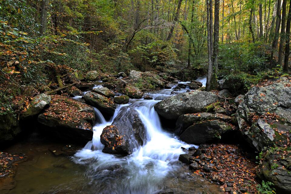 Un ruisseau de forêt, avec des rochers et des feuilles d’automne.