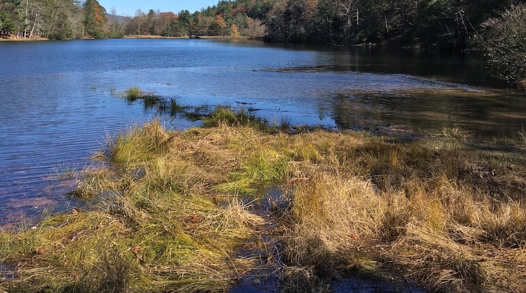 The lake at Vogel State Park in Blairsville, GA.