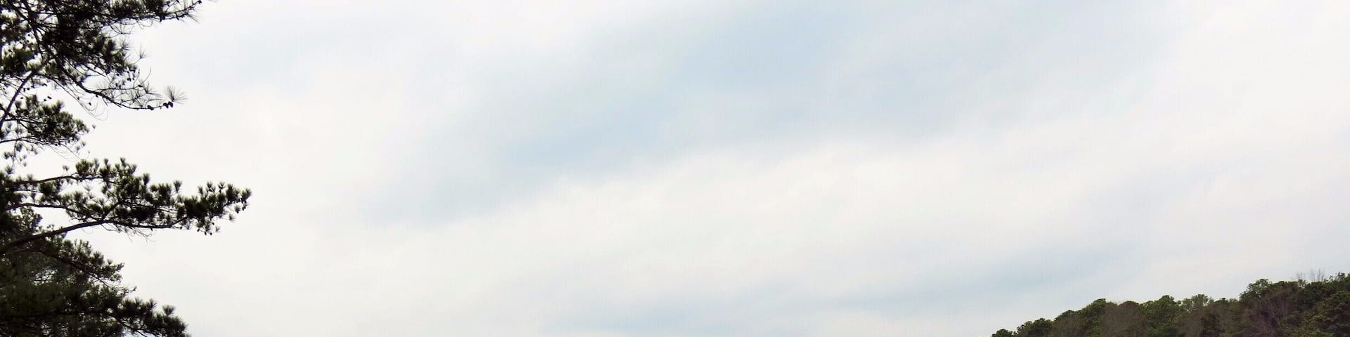 #Hiking through Red Top Mountain State Park. Named for the red-brown color of the soil and high iron ore content, this place is great for leisurely hikers.