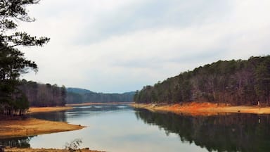 #Hiking through Red Top Mountain State Park. Named for the red-brown color of the soil and high iron ore content, this place is great for leisurely hikers.