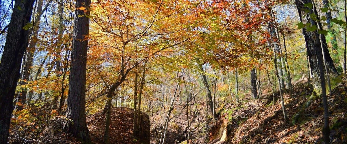 Easy but enjoyable hike to see the fall colors at the iron hill trail!
#hike #fall #outdoors #color #statepark