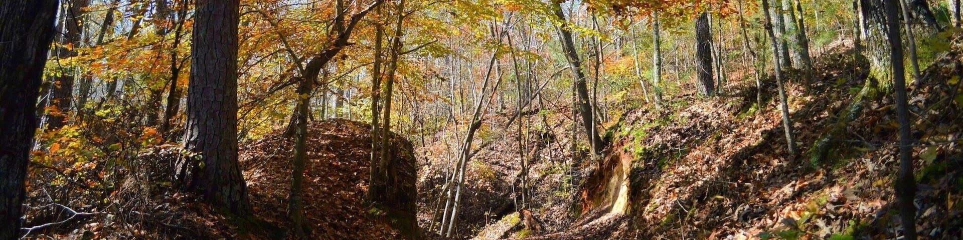 Easy but enjoyable hike to see the fall colors at the iron hill trail!
#hike #fall #outdoors #color #statepark
