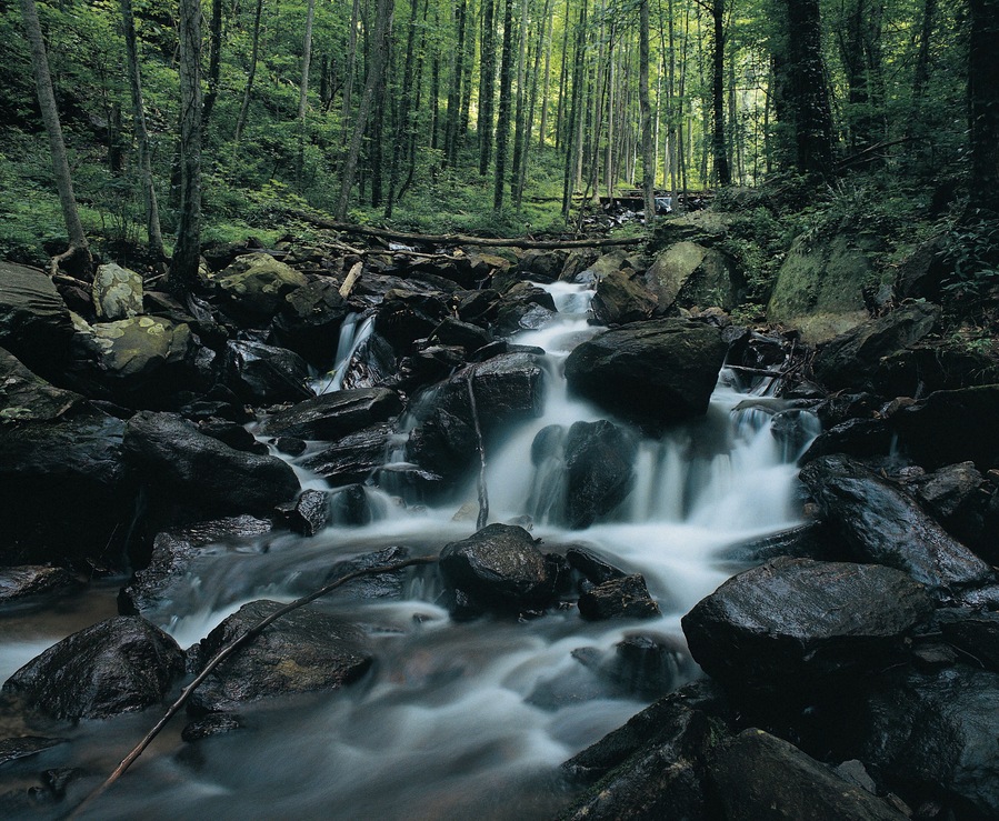 Waterfall, Amicalola Falls State Park, Georgia, USA