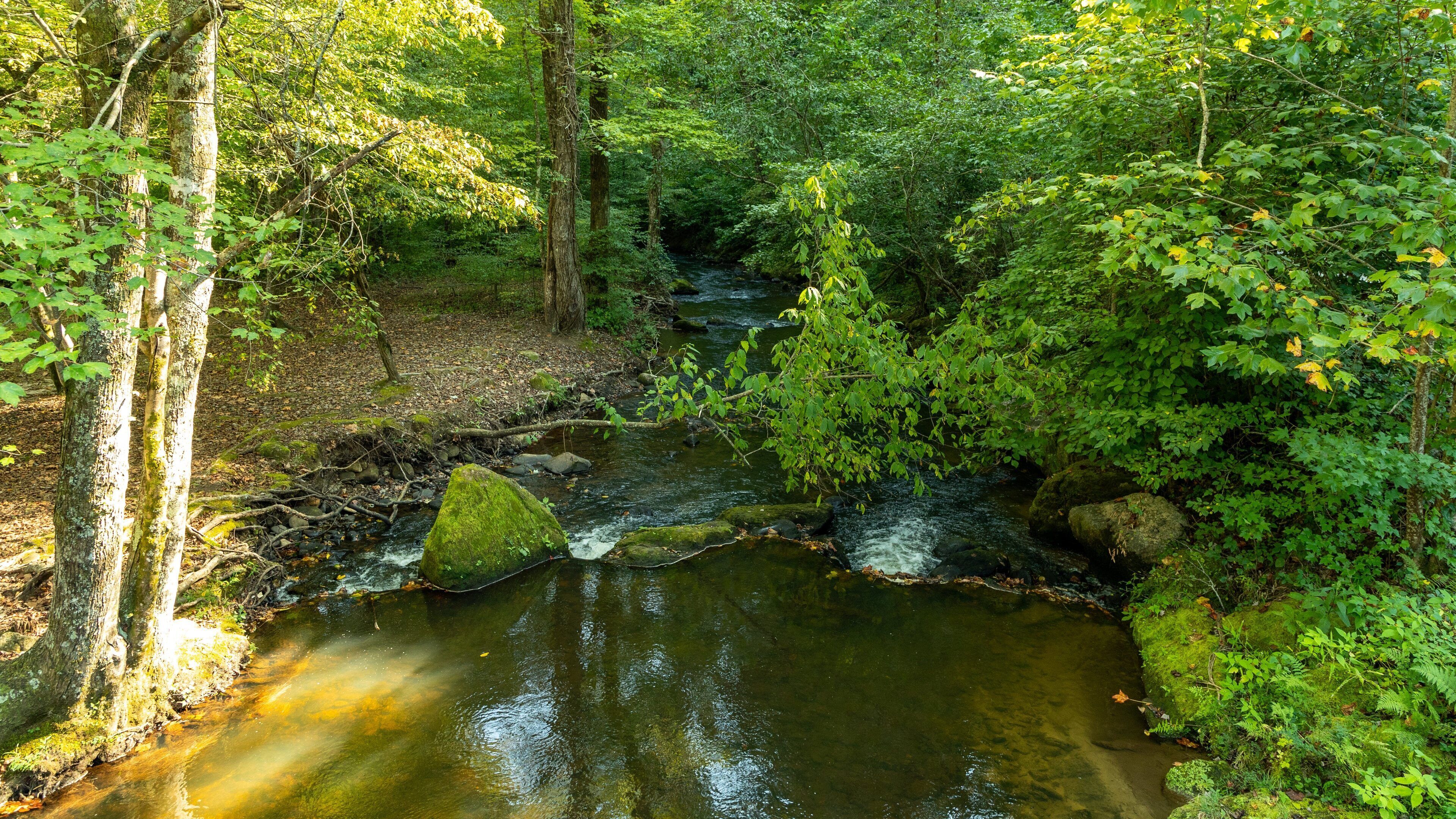 Unicoi State Park showing a river or creek