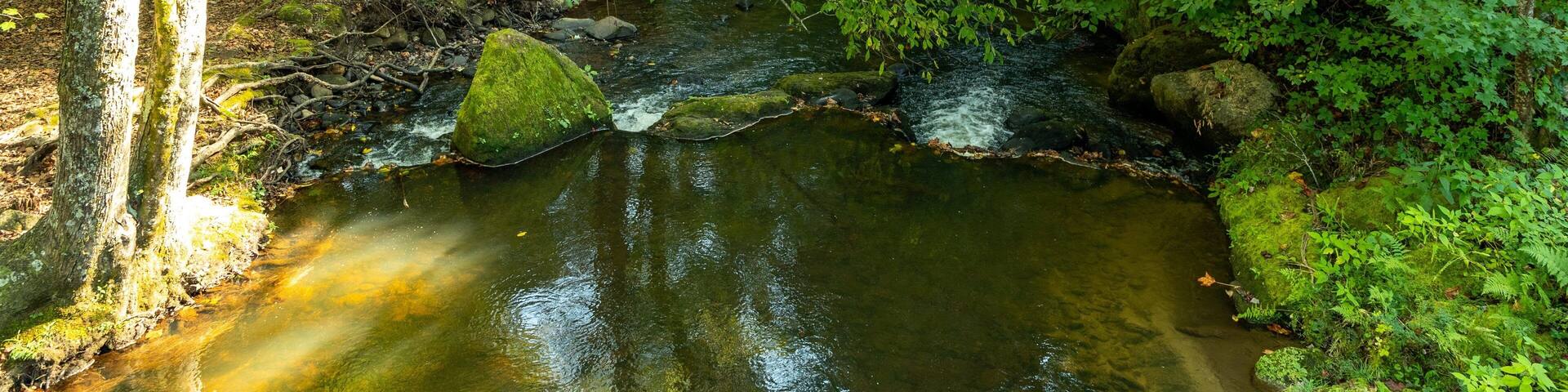 Unicoi State Park showing a river or creek
