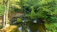Unicoi State Park showing a river or creek