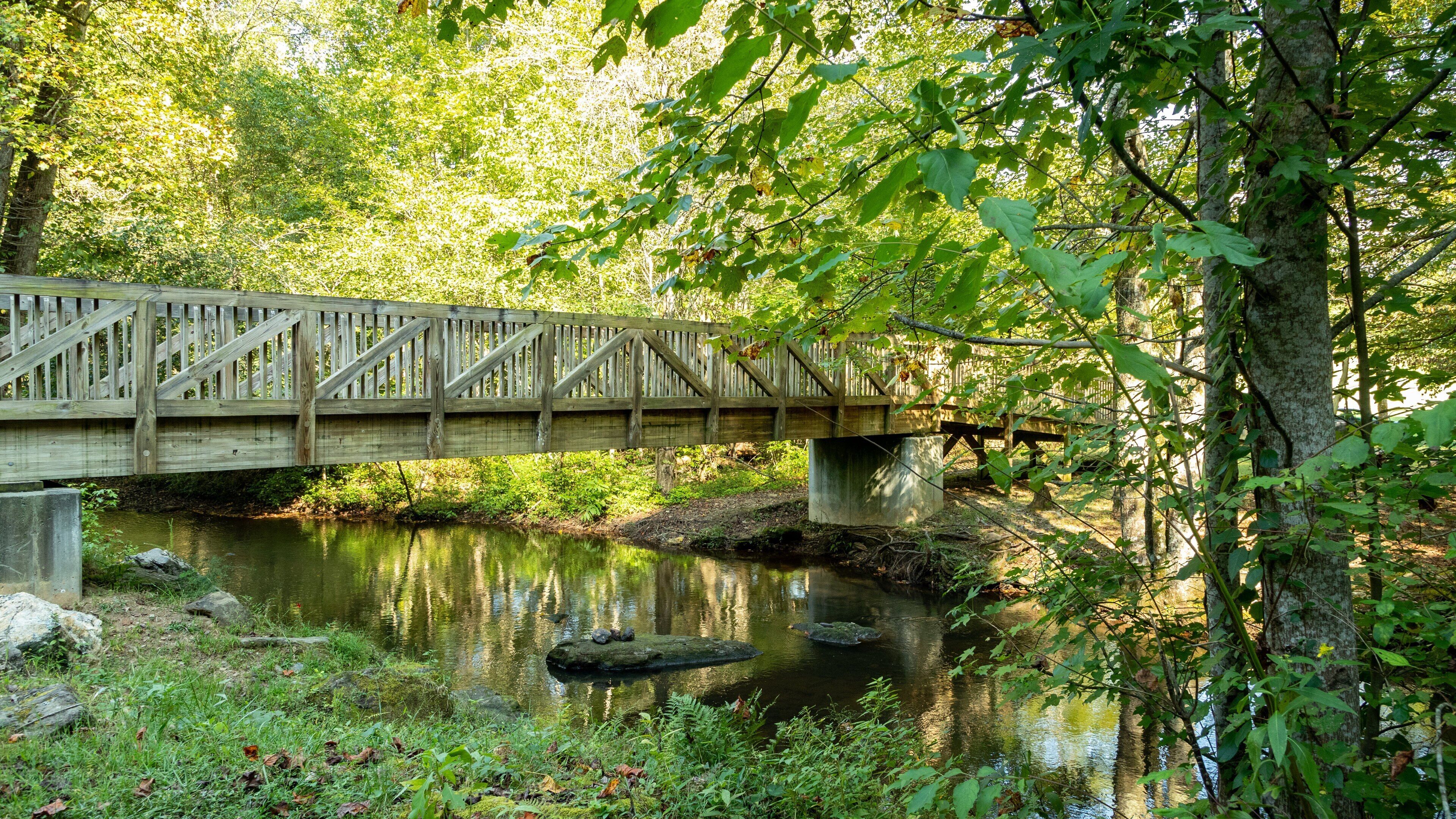 Unicoi State Park showing a bridge and a river or creek
