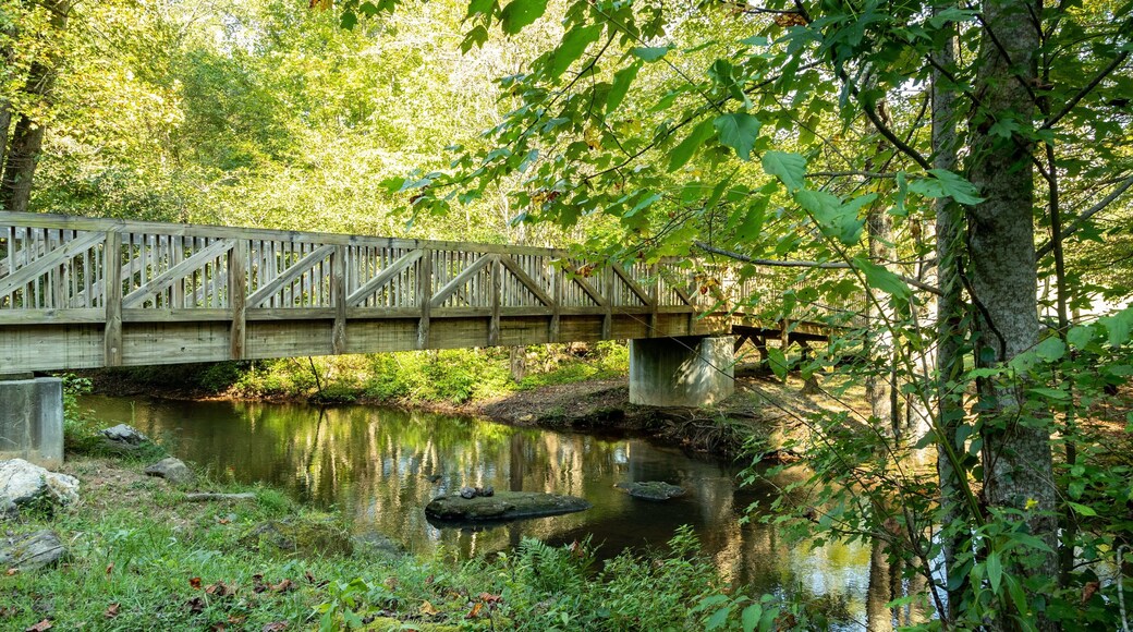 Unicoi State Park showing a bridge and a river or creek