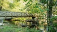 Unicoi State Park showing a bridge and a river or creek