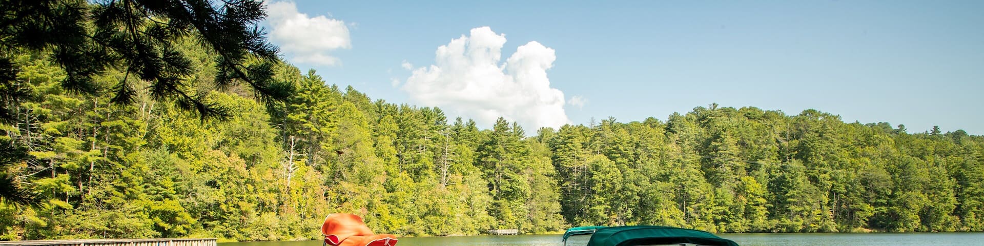 Unicoi State Park showing a bay or harbor