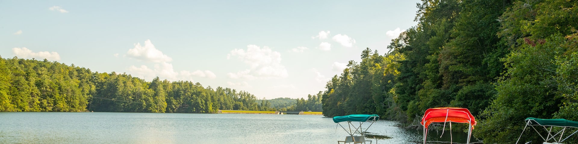 Unicoi State Park showing a bay or harbor