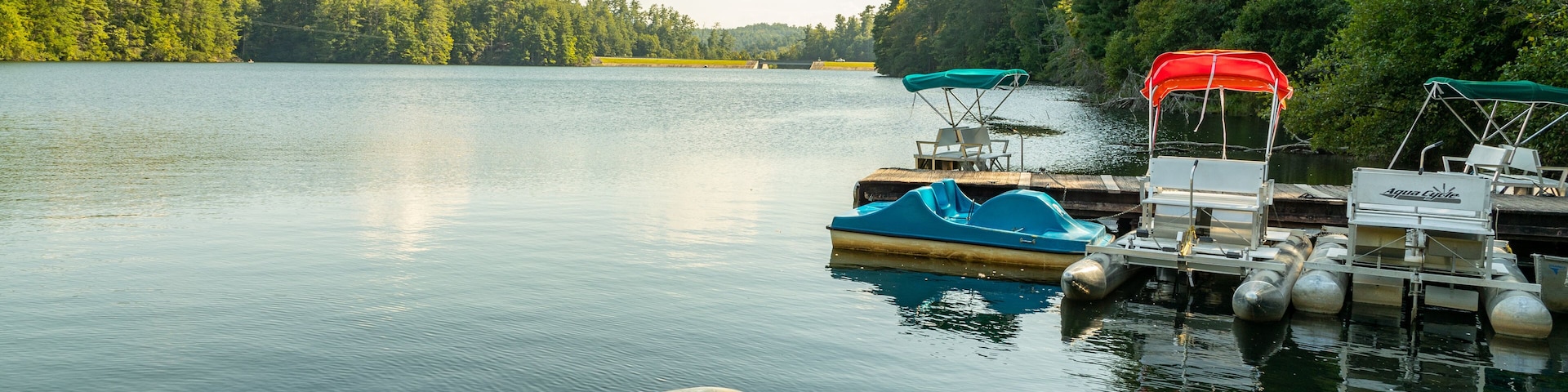 Unicoi State Park showing a bay or harbor
