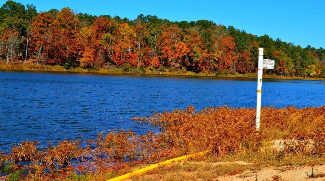 Forgot to upload this Fall hiking picture. Natural drinkable Spring water in GA! #GAstatepark #fall