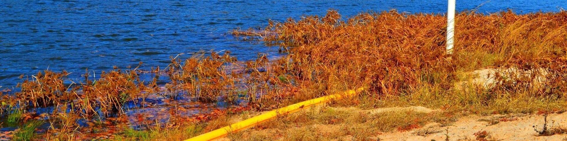 Forgot to upload this Fall hiking picture. Natural drinkable Spring water in GA! #GAstatepark #fall
