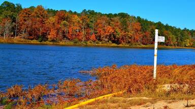 Forgot to upload this Fall hiking picture. Natural drinkable Spring water in GA! #GAstatepark #fall